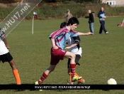 afc-tickton-vs-panthers-021