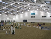 Rising Showjumping Star Pippa Allen Competes in Beverley