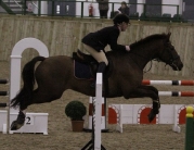 Rising Showjumping Star Pippa Allen Competes in Beverley