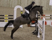 Rising Showjumping Star Pippa Allen Competes in Beverley