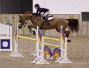 Rising Showjumping Star Pippa Allen Competes in Beverley