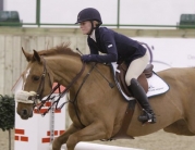 Rising Showjumping Star Pippa Allen Competes in Beverley