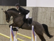 Rising Showjumping Star Pippa Allen Competes in Beverley