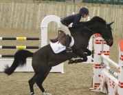 Rising Showjumping Star Pippa Allen Competes in Beverley