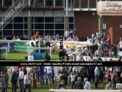 Pony Racing At Beverley Racecourse