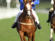 Pony Racing At Beverley Racecourse