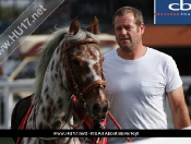 Pony Racing day @ Beverley Racecourse