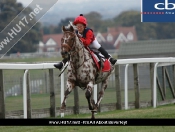 Pony Racing day @ Beverley Racecourse