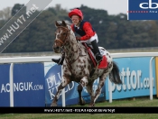 Pony Racing day @ Beverley Racecourse