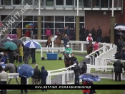 Punters Brave The Elements To Enjoy Curtain Raiser At Beverley