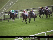 Punters Brave The Elements To Enjoy Curtain Raiser At Beverley