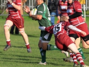 Beverley RUFC