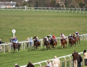 Beverley Racecourse