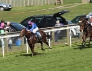 Beverley Racecourse