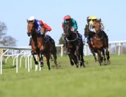 Beverley Racecourse