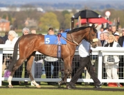 Beverley Racecourse