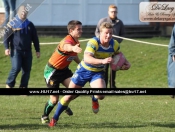 RUGBY LEAGUE : Blue & Golds Tame The Lions