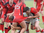 RUGBY LEAGUE : Crusaders Cruise To Victory