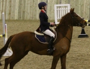 British Showjumping