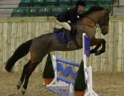 British Showjumping