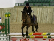 British Showjumping