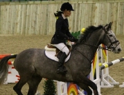 British Showjumping