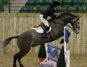 British Showjumping