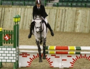 British Showjumping