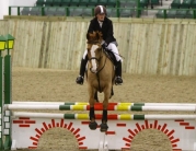 British Showjumping