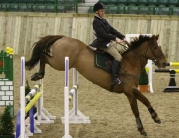 British Showjumping