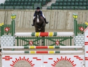 bishop-burton-showjumping-090