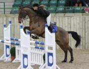 bishop-burton-showjumping-130