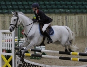 bishop-burton-showjumping-276