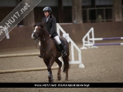 Showjumping @ Tickton Hall Stables