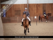 Showjumping @ Tickton Hall Stables