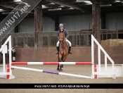 Showjumping @ Tickton Hall Stables