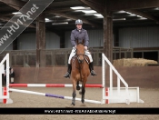 Showjumping @ Tickton Hall Stables