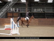 Showjumping @ Tickton Hall Stables