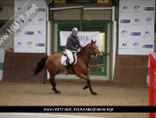 Showjumping @ Tickton Hall Stables