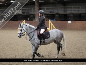 Showjumping @ Tickton Hall Stables