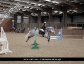 Showjumping @ Tickton Hall Stables