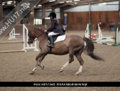 Showjumping @ Tickton Hall Stables