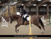 Showjumping @ Tickton Hall Stables