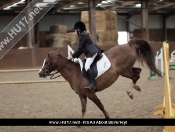 Showjumping @ Tickton Hall Stables