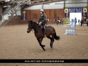 Showjumping @ Tickton Hall Stables