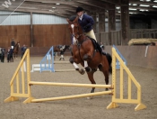 Showjumping @ Tickton Hall Stables