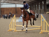 Showjumping @ Tickton Hall Stables