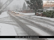 Snowing: Pictures Of Snowy Scenes In Beverley