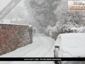 Snowing: Pictures Of Snowy Scenes In Beverley