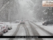 Snowing: Pictures Of Snowy Scenes In Beverley